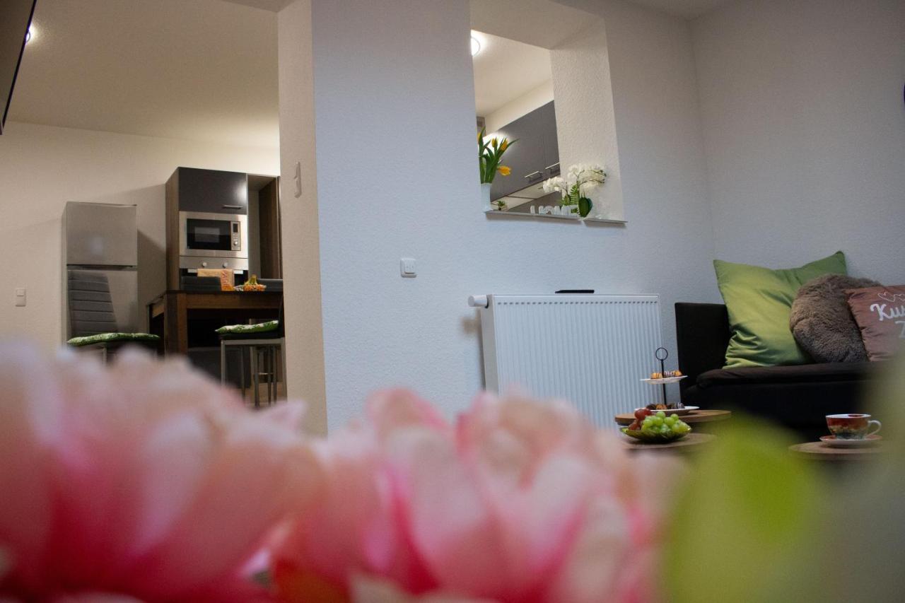 Gaestewohnung Moenchengladbach Rheindahlen 외부 사진